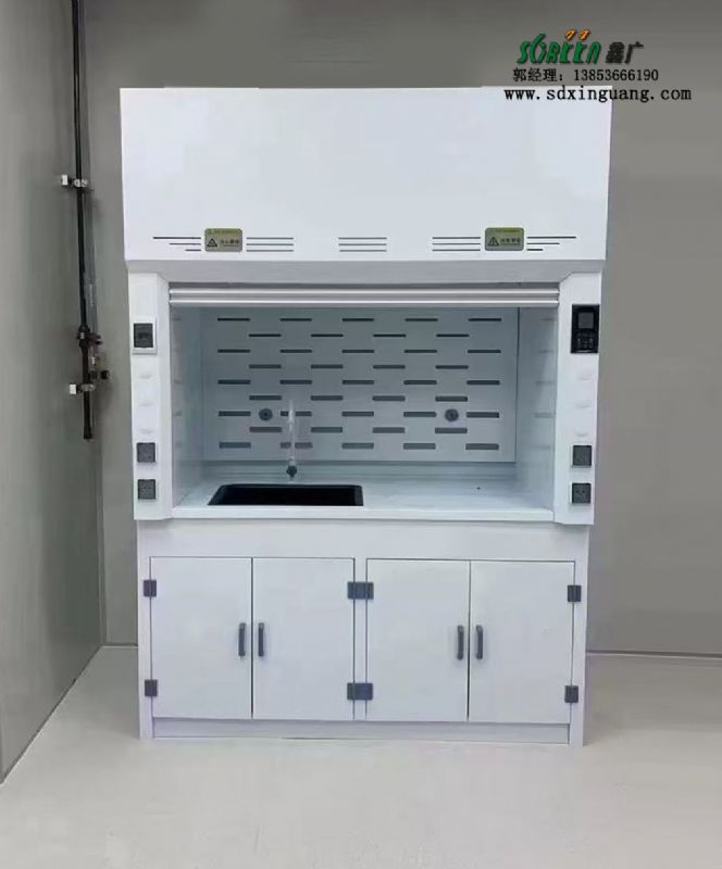 潍坊安博（中国）PP通风柜通风橱厂家供应